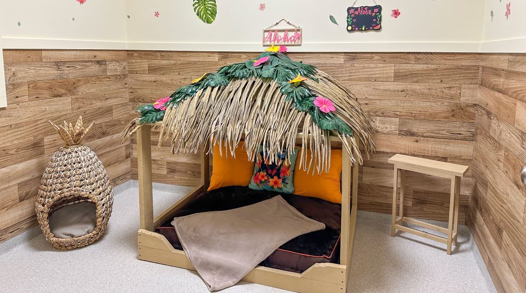 Luxury Suite - Hawaii